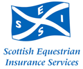 seis logo